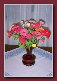 Kliknite za pove�avo slike